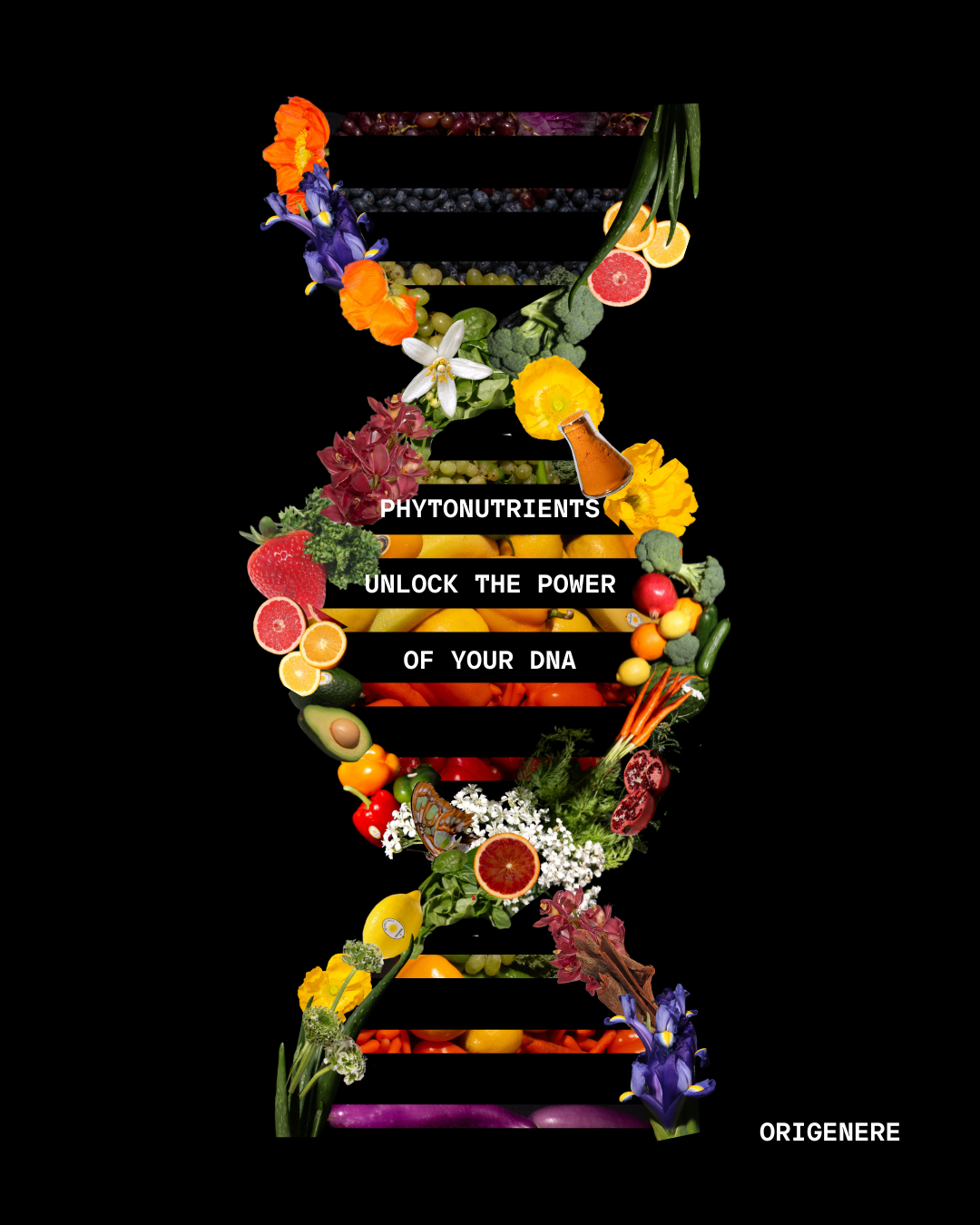 The definition of phytonutrient