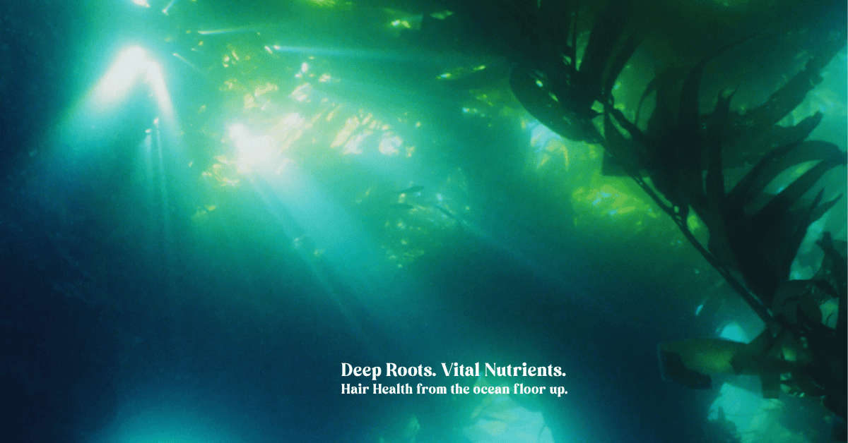 Underwater kelp forest with sunlight filtering through Macrocystis pyrifera, symbolizing the natural power of kelp benefits for hair health, scalp care, and nutrient-rich seaweed remedies for hair loss.