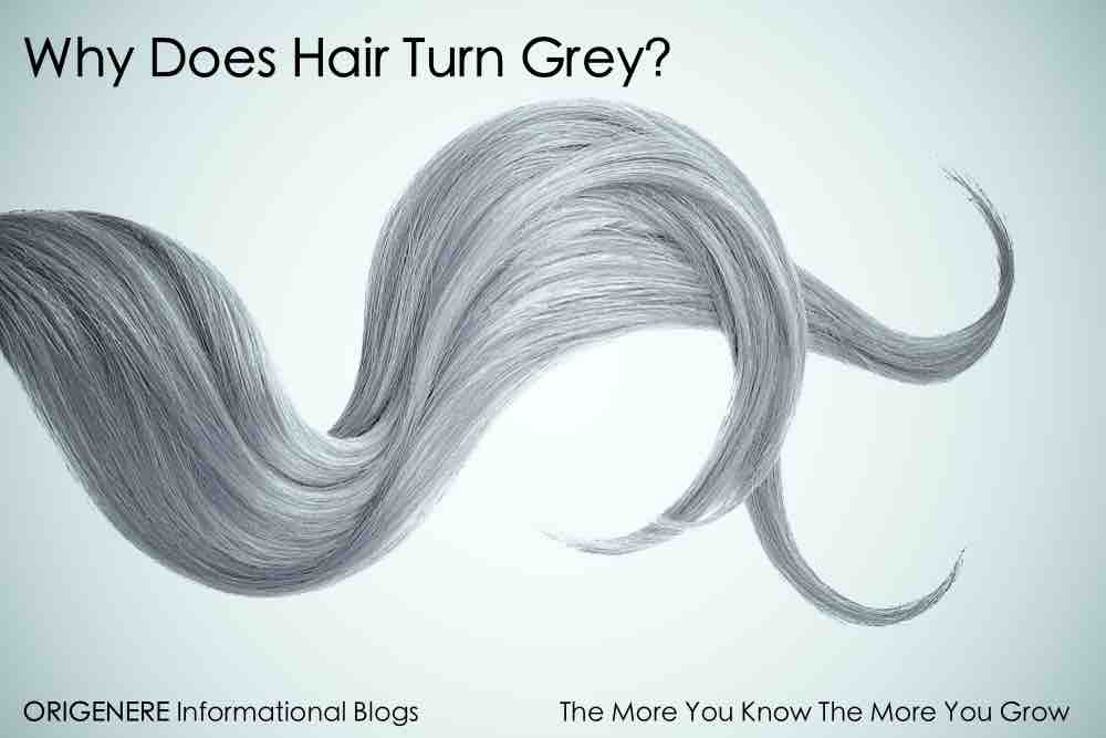 Why Does Hair Turn Grey? Understanding the Science and Solutions