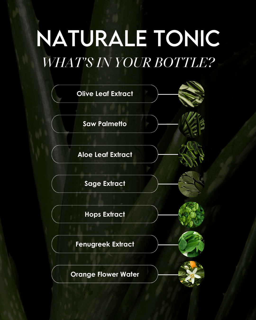 Star Ingredients In Naturale Hair And Scalp Tonic