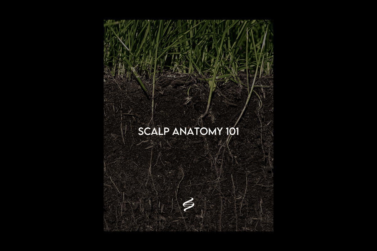 Mastering Scalp Anatomy: Essential Guide for Hair Health