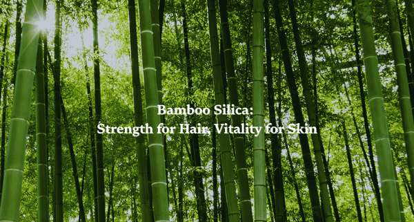  Dense bamboo forest with sunlight, symbolizing bamboo silica as a natural source of silica for hair growth, scalp health, and skin vitality.