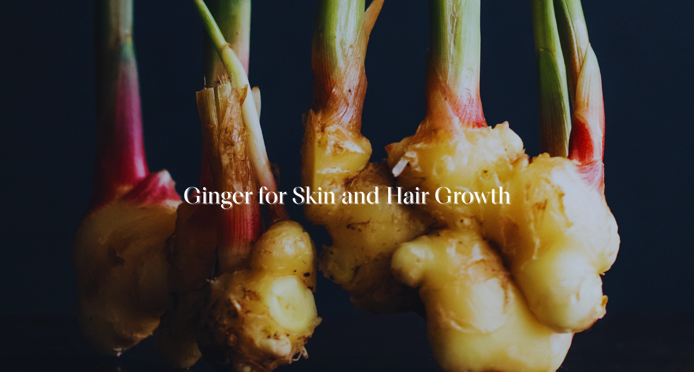 Fresh ginger roots with green shoots showcasing natural benefits for skin and hair growth.
