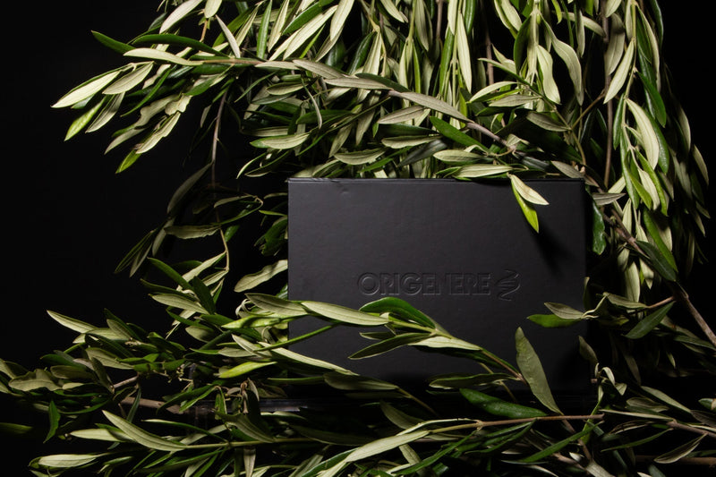 Olive leaves and glass bottle