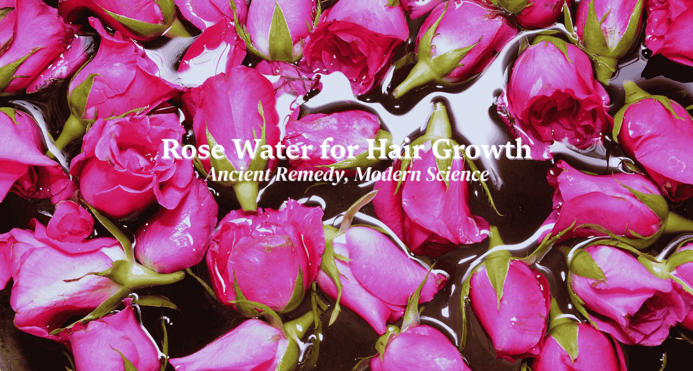 Fresh Rosa damascena petals floating in distilled water symbolizing rose water for hair growth, scalp health, hydration, and antioxidant protection.