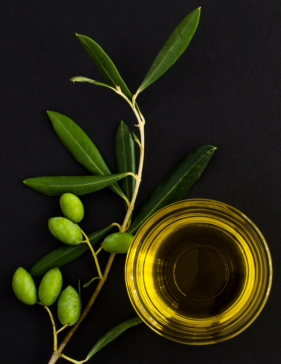 Benefits of Olive Oil For Hair Vs Olive Leaf Extract