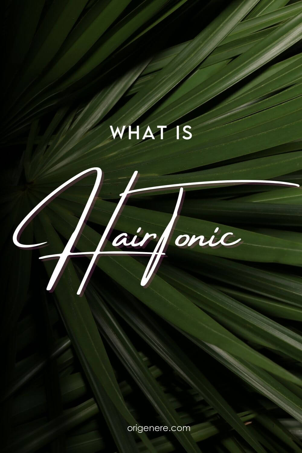 What is Hair Tonic written over saw palmetto leaves