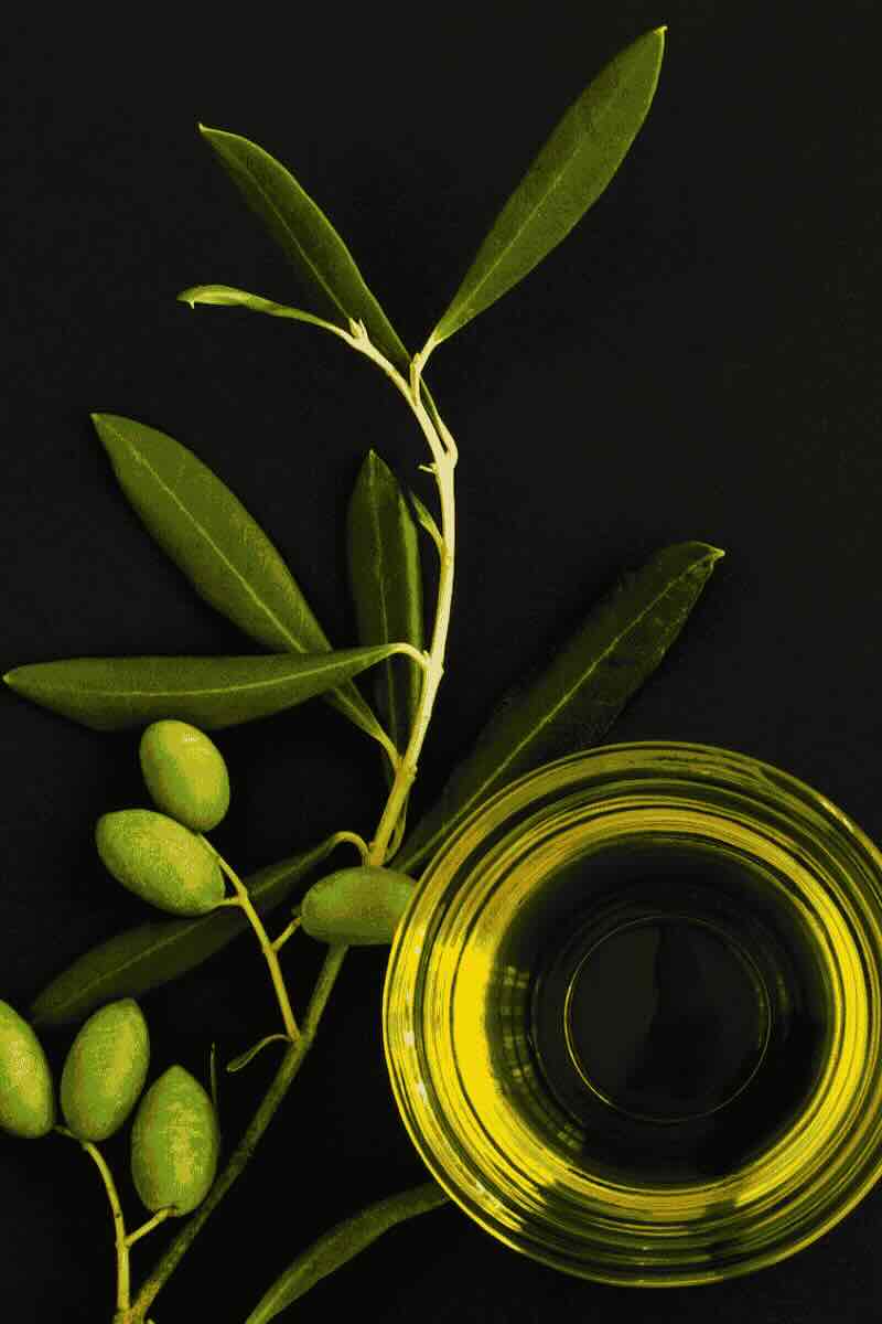 benefits of olive oil for hair