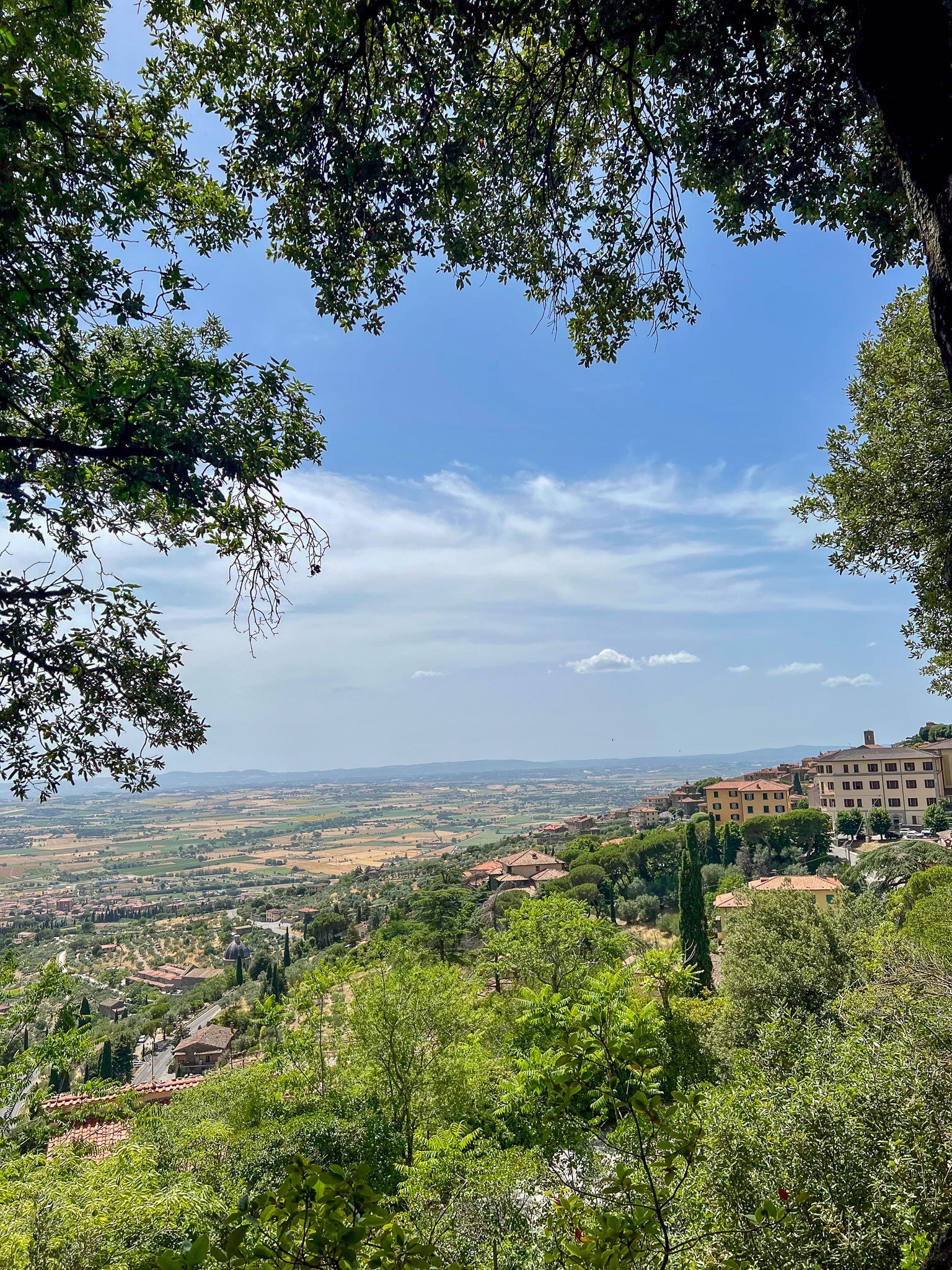 View of Italian countryside (Cortona, Italy)