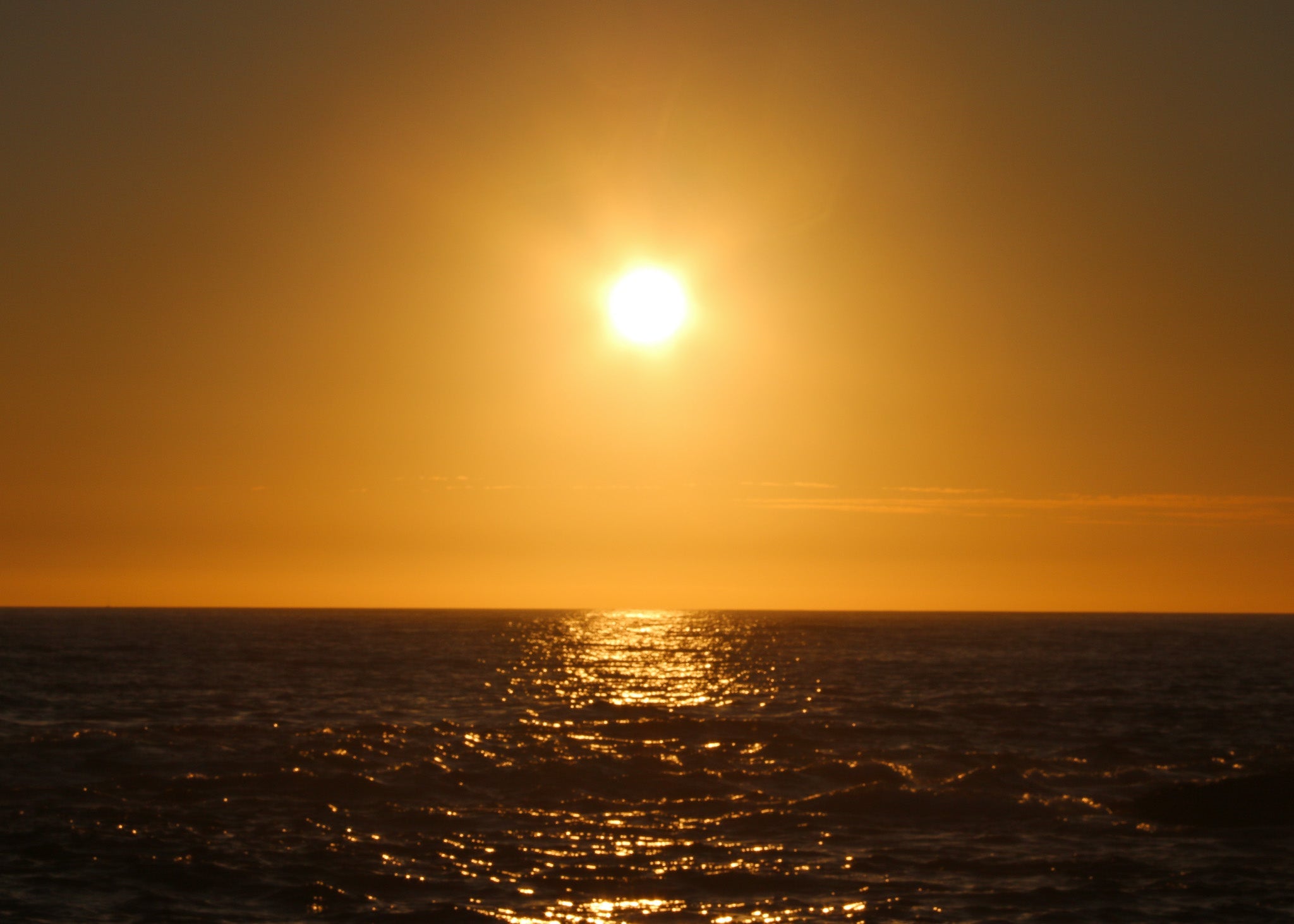 Buongiorno Vitality Collection