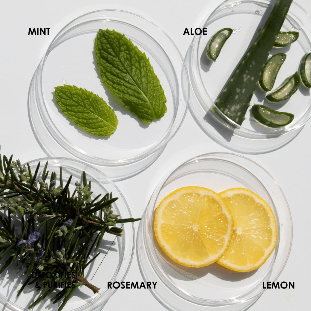 Moisturize Your Scalp And Nourish Your Hair Follicle With Rosemary, Aloe, Mint and Lemon