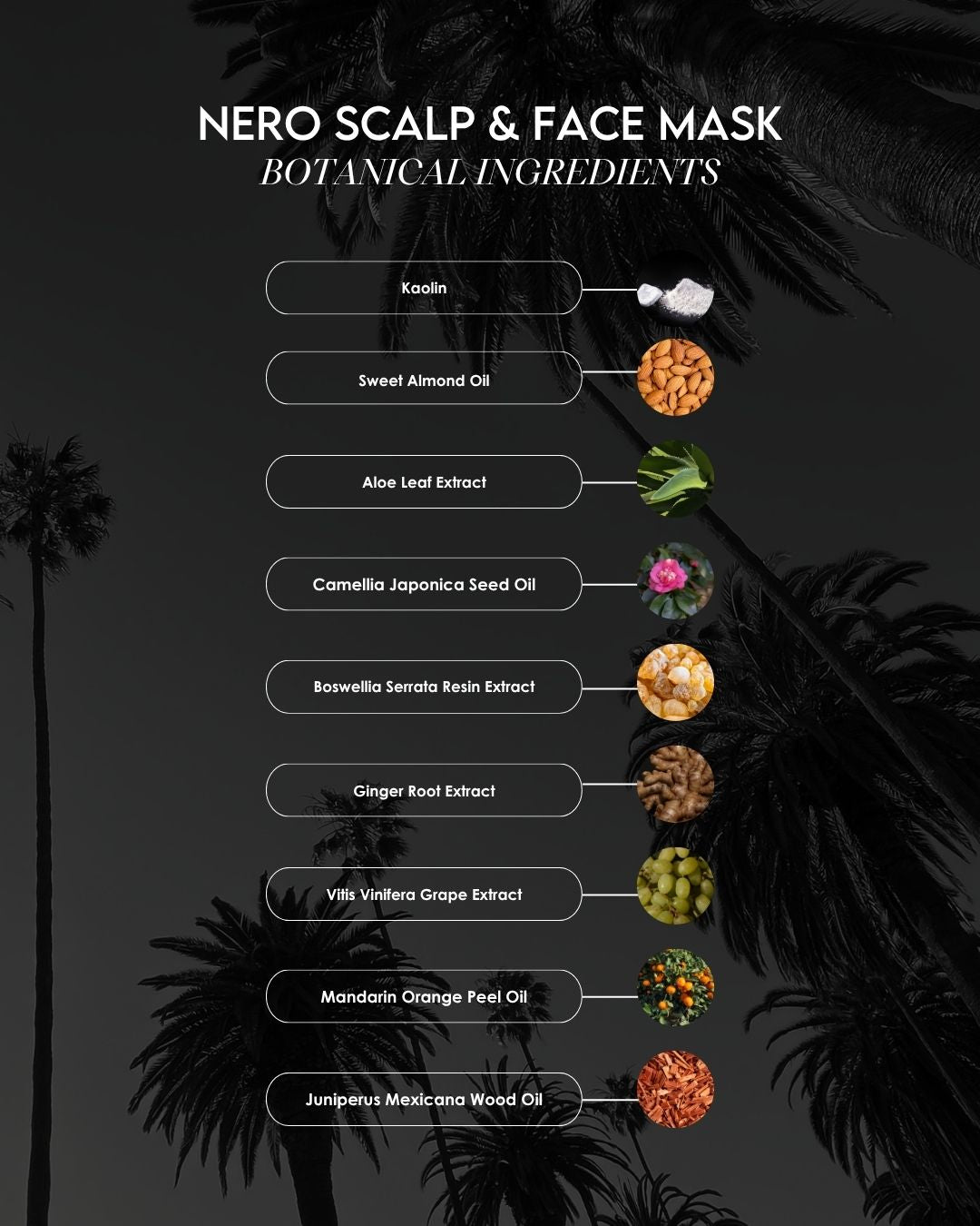 NERO Scalp and Face Mask botanical ingredients infographic by Origenere Beverly Hills showing natural actives including kaolin clay, sweet almond oil, aloe leaf extract, camellia japonica seed oil, boswellia serrata resin extract, ginger root extract, grape extract, mandarin orange peel oil, and juniper wood oil for detoxifying and nourishing scalp and skin.