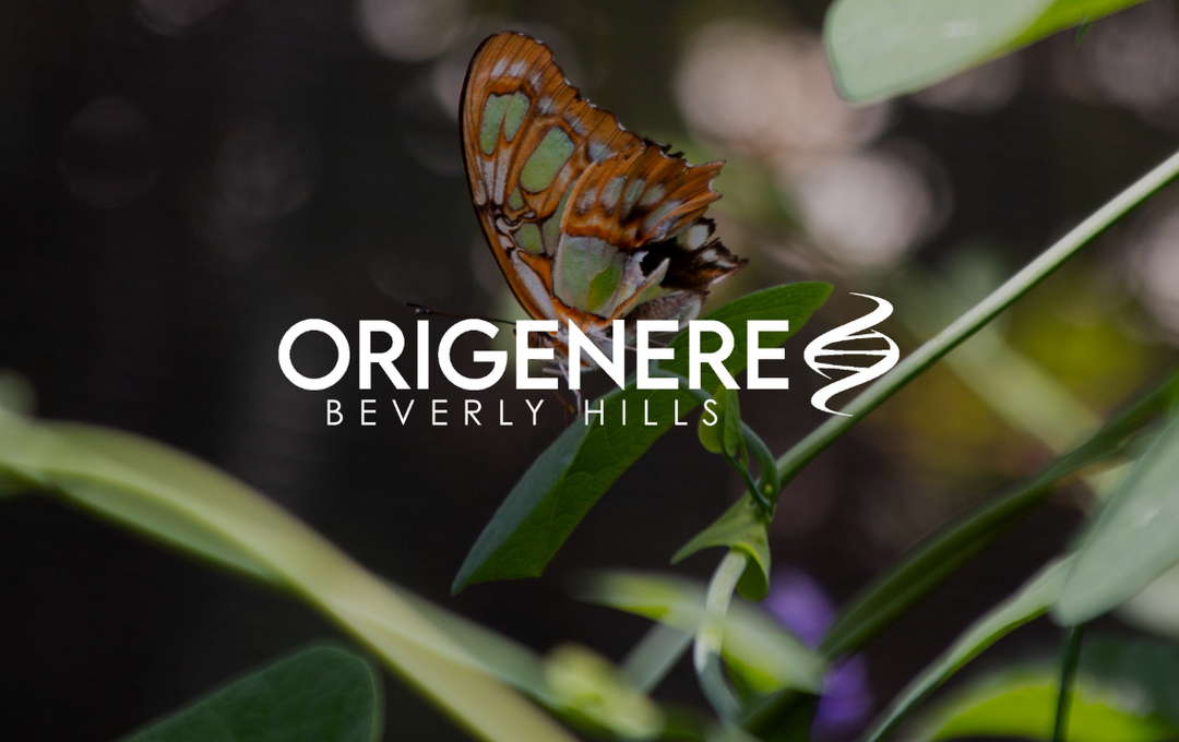 Origenere Gift Card