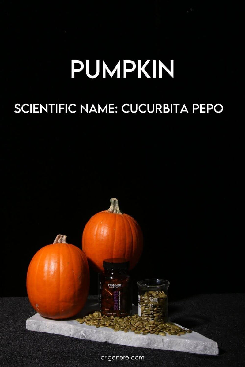 Pumpkin Seed