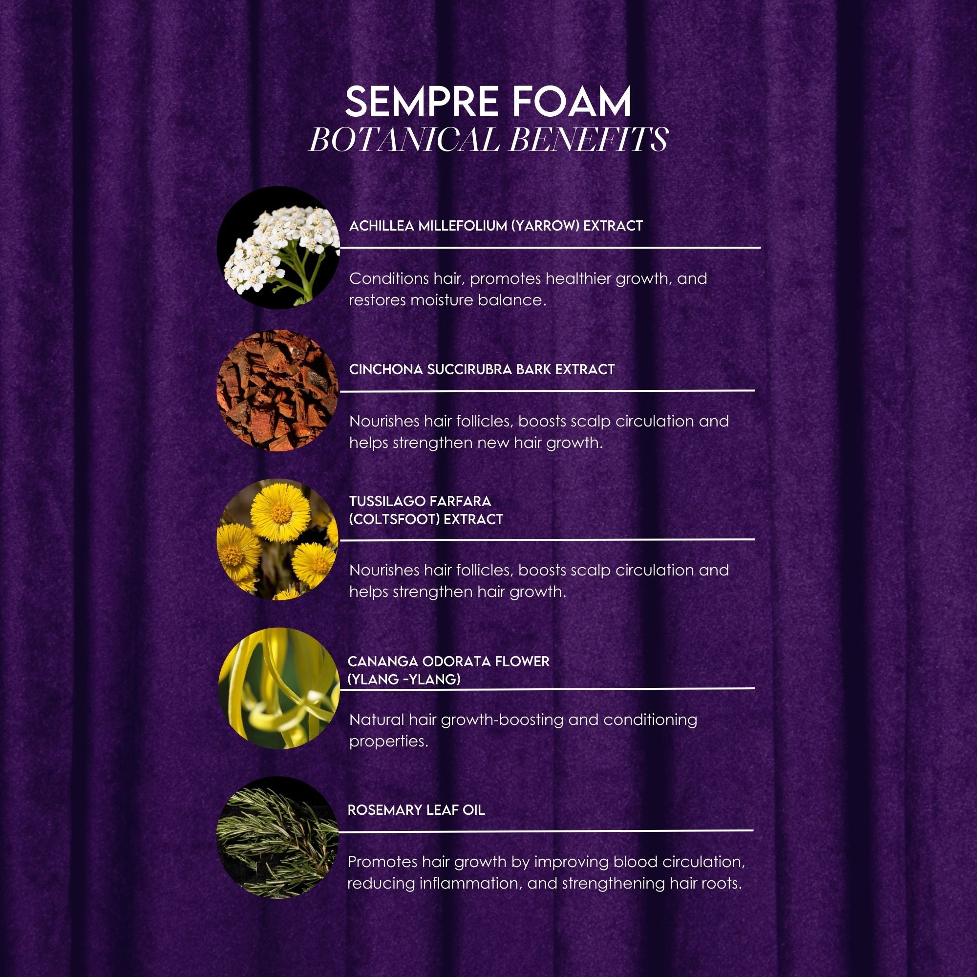 Sempre Hair Growth Foam Botanical Benefits