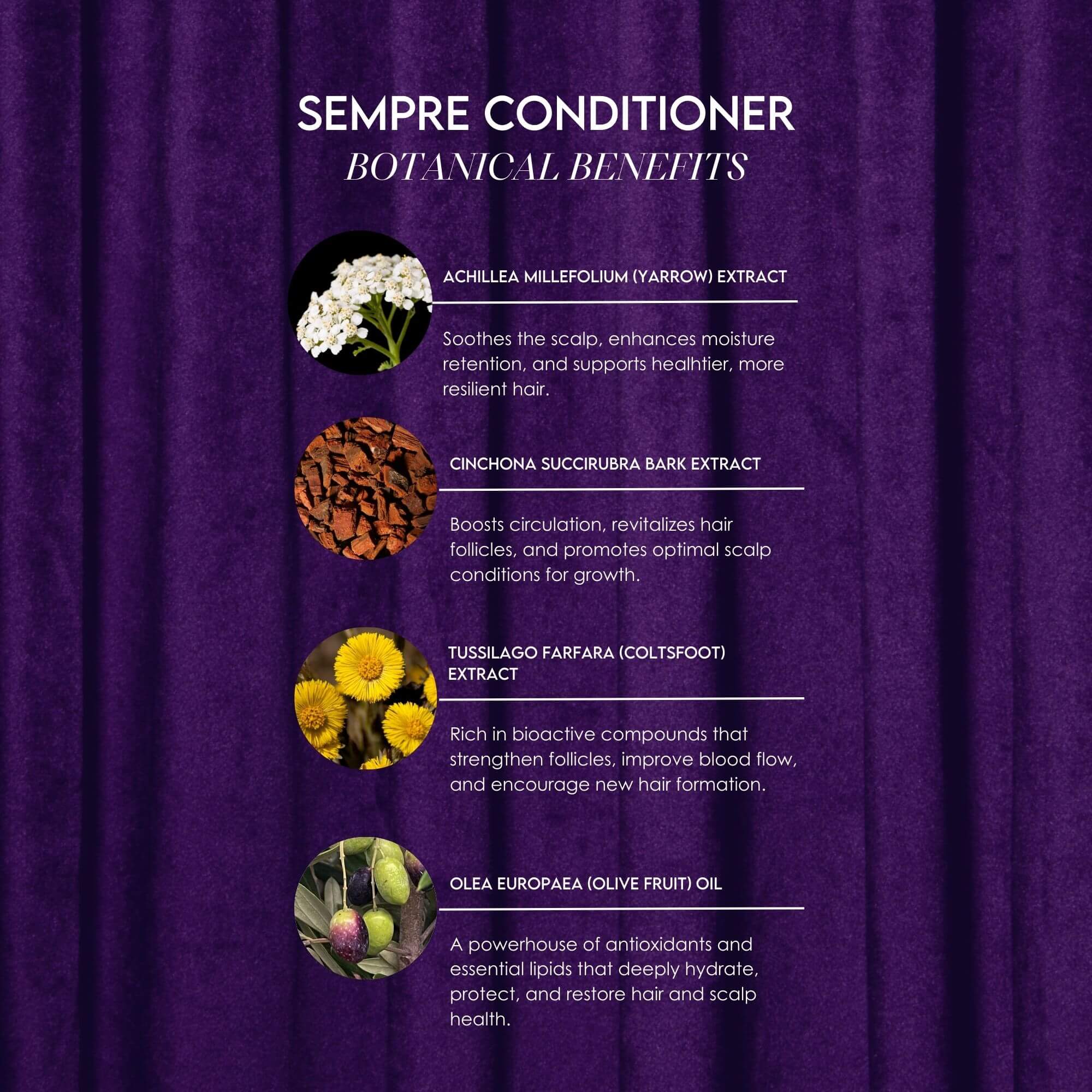 Sempre Conditioner Botanical Benefits