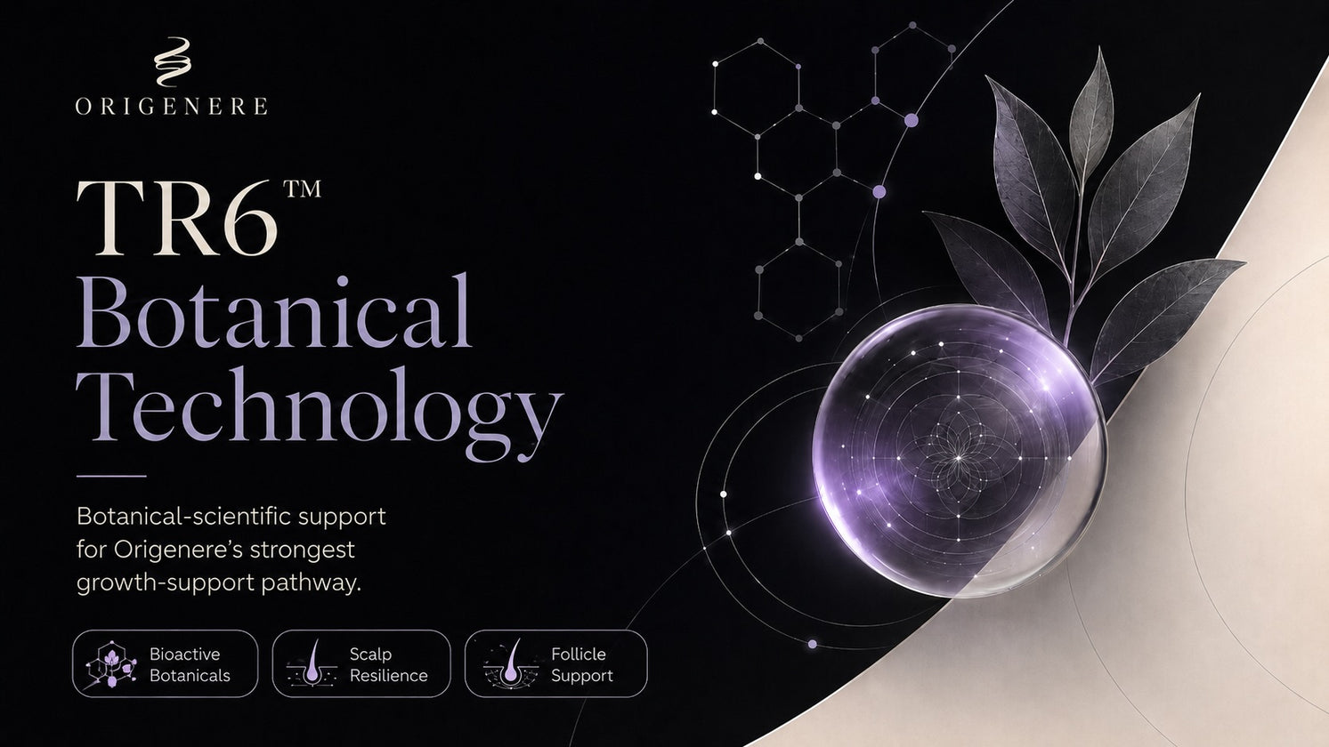 TR6 Botanical Technology by Origenere with bioactive botanical, scalp, and follicle support visuals